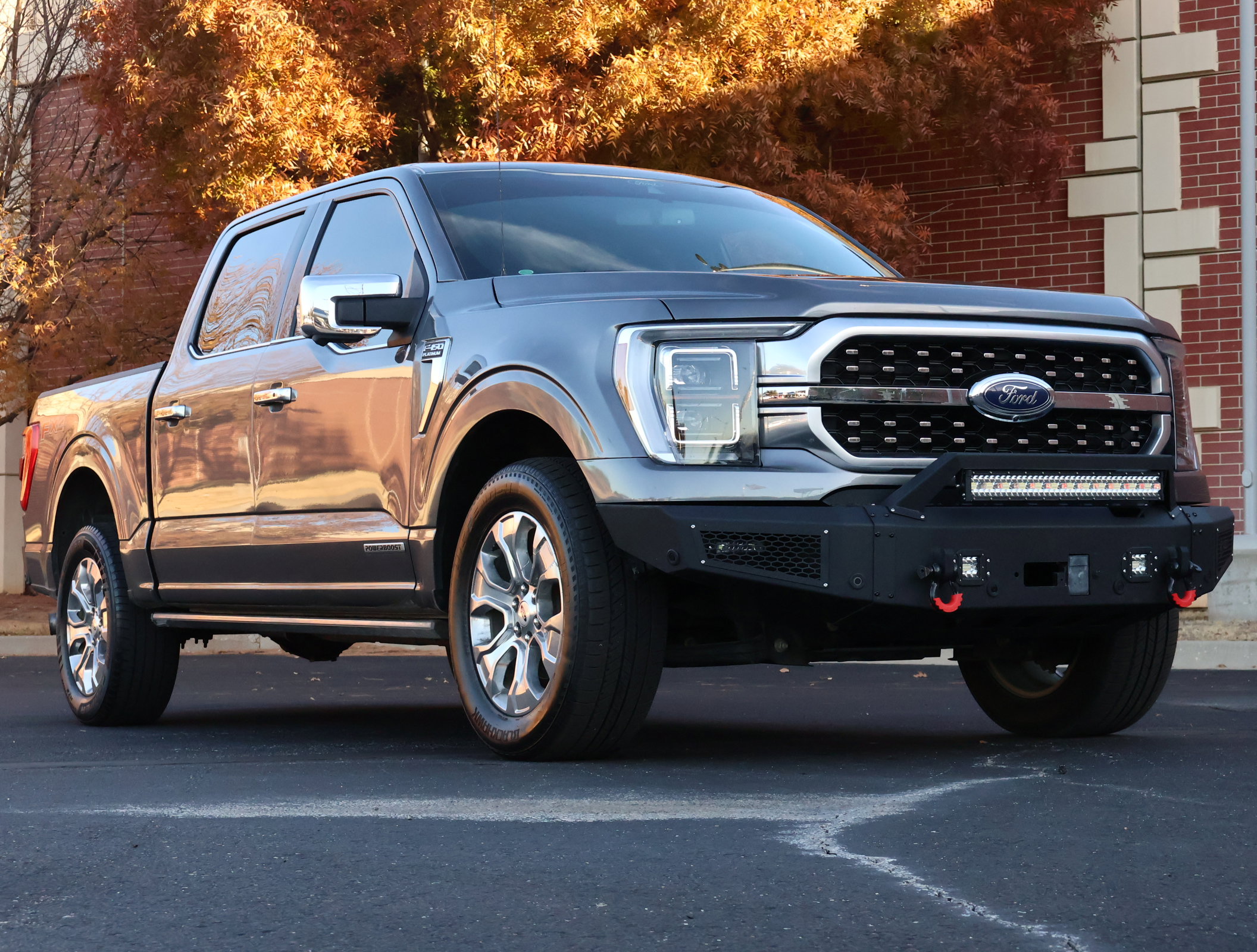 2021 Ford F-150 Platinum's photo