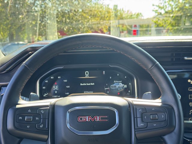 2024 Gmc Sierra 1500 AT4 photo 15