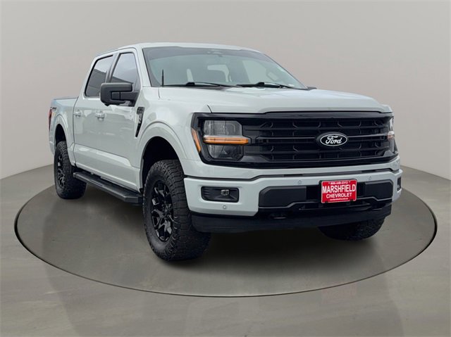 2024 Ford F-150 XLT's photo