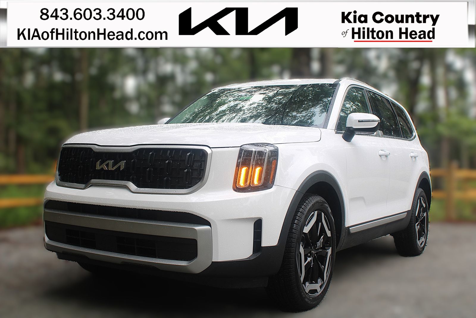2025 Kia Telluride EX's photo