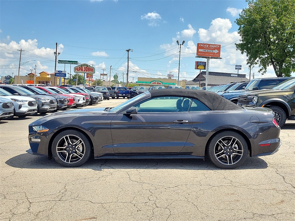 2023 Ford Mustang EcoBoost Premium photo 3