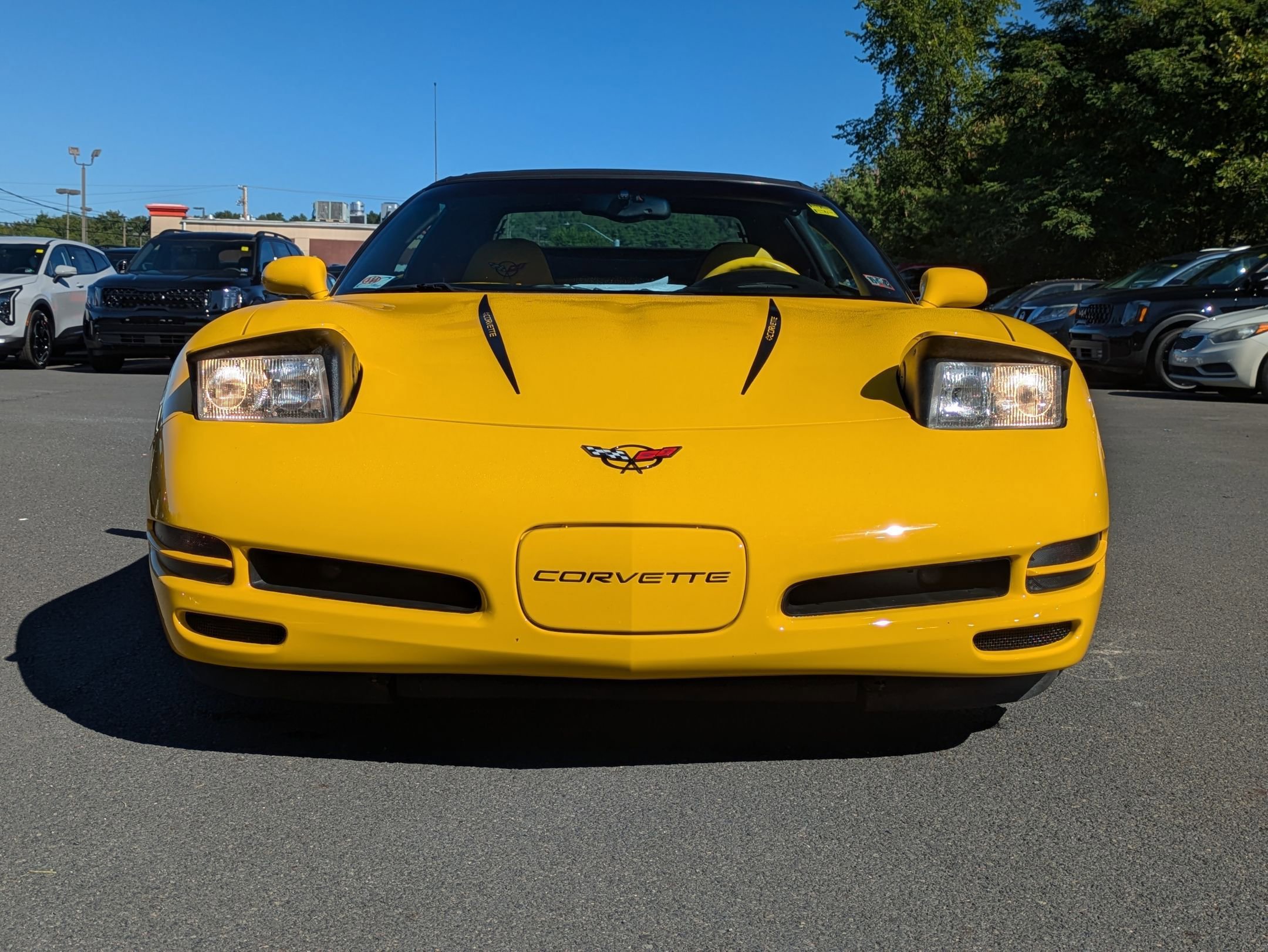 2002 Chevrolet Corvette Base photo 2