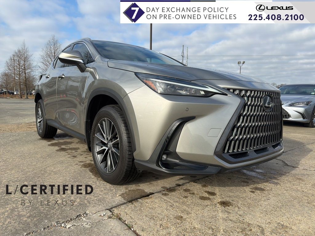 2024 Lexus NX 350's photo
