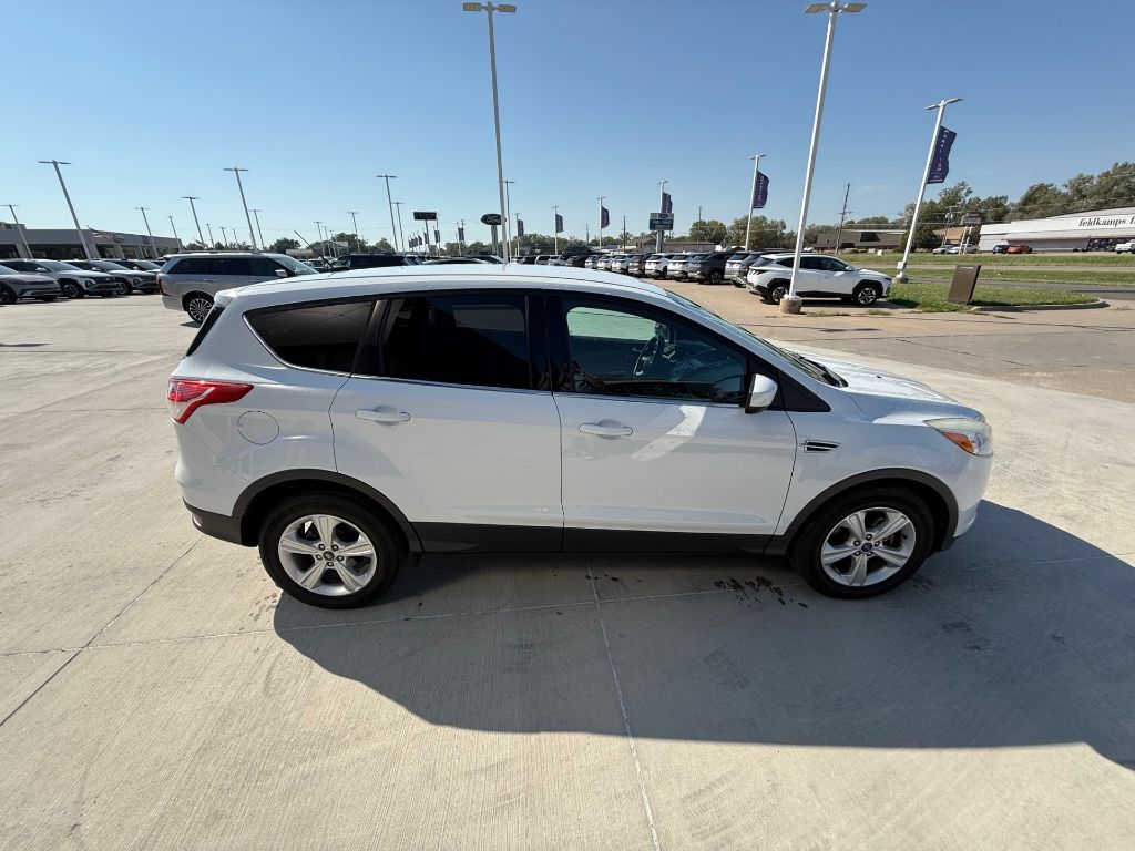 2013 Ford Escape SE photo 4