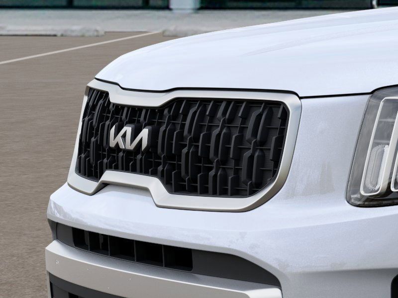 2025 Kia Telluride EX photo 9