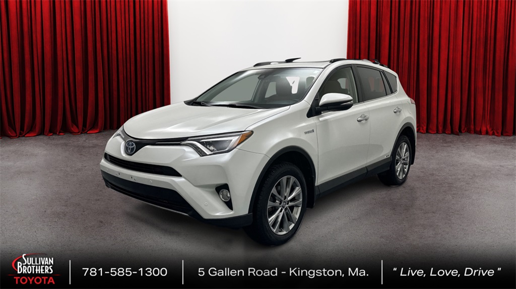 2017 Toyota RAV4 Limited's photo