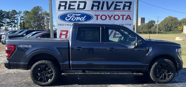 2022 Ford F-150 Platinum's photo