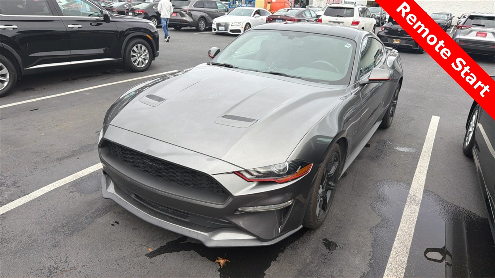 2019 Ford Mustang EcoBoost photo 2