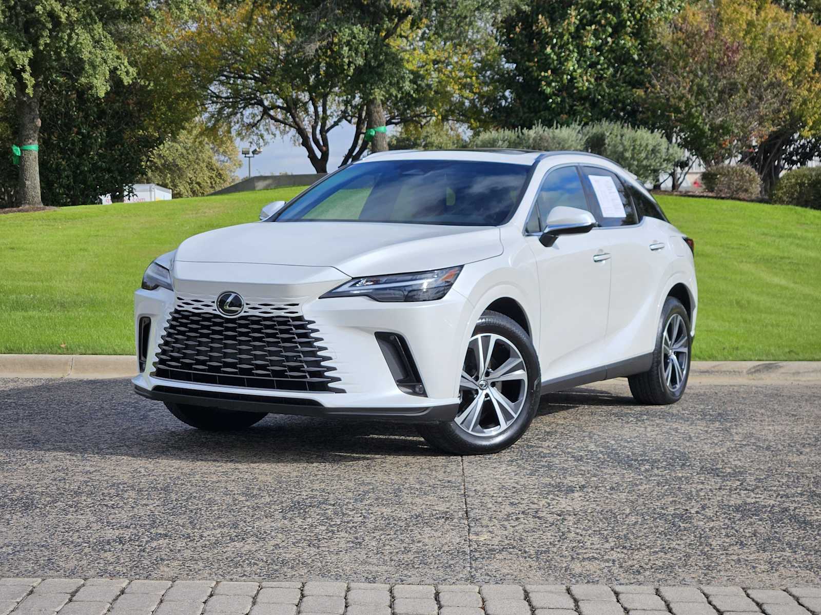 2025 Lexus RX 350's photo