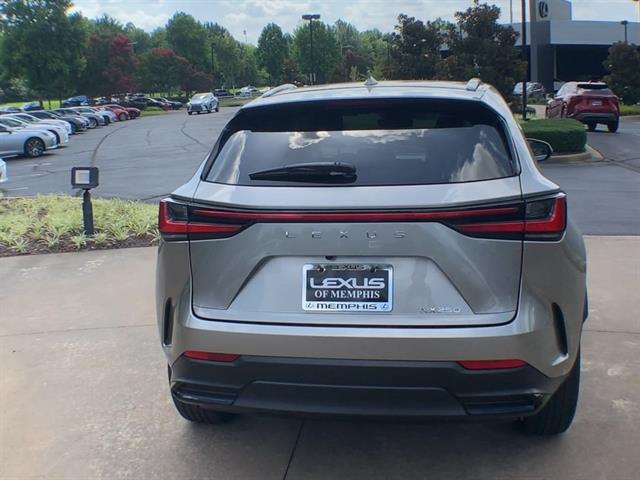 2024 Lexus NX 250 photo 6