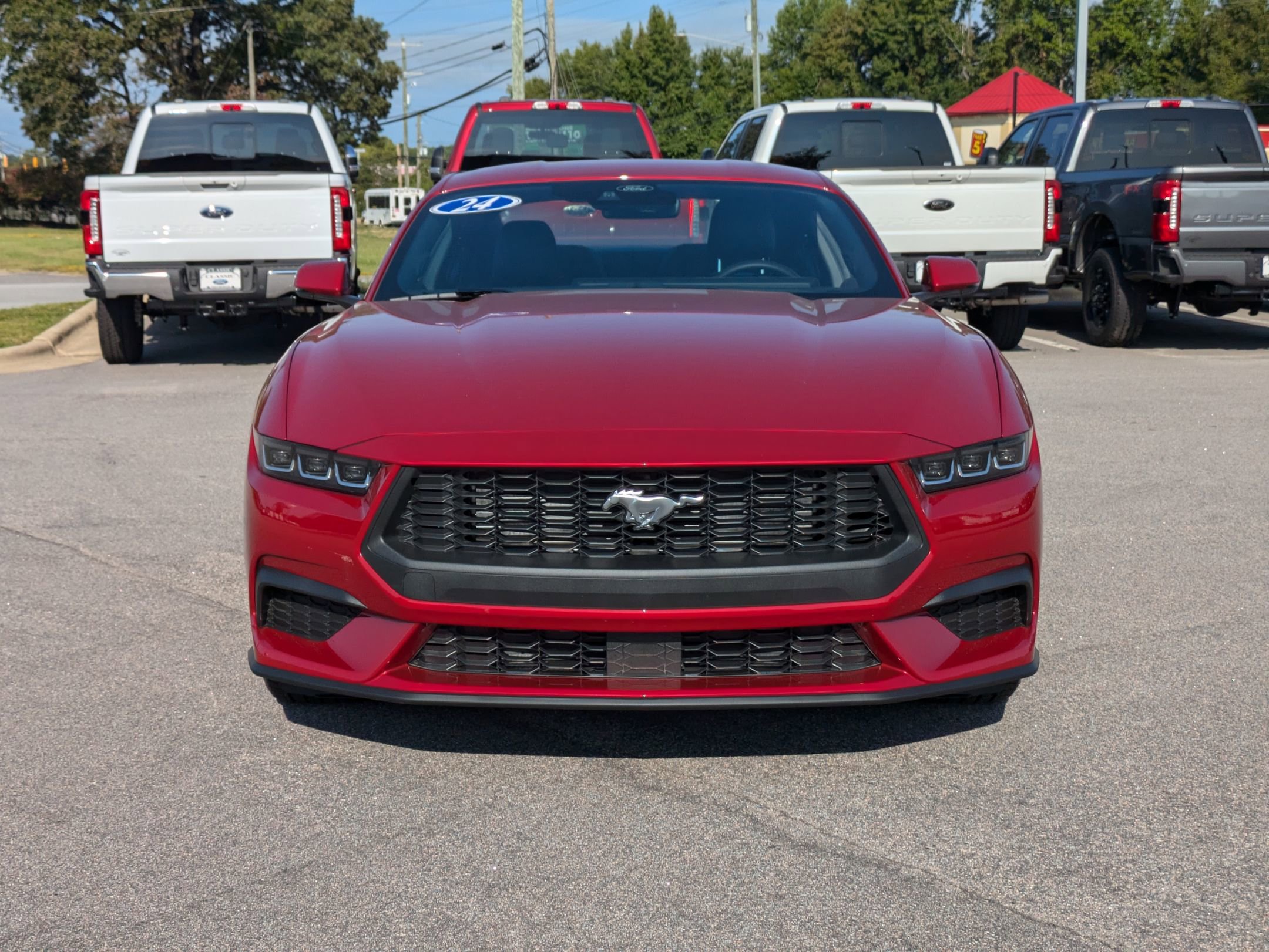 2024 Ford Mustang EcoBoost Premium photo 2