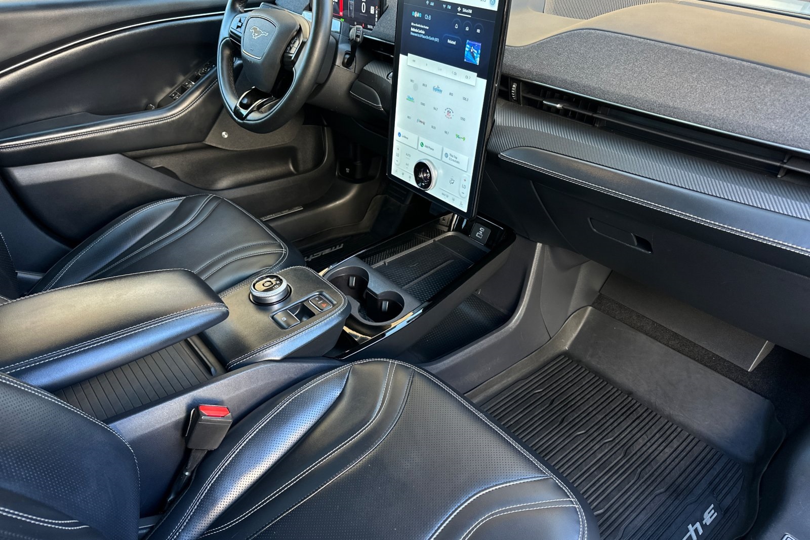 2021 Ford Mustang Mach-E Premium photo 14