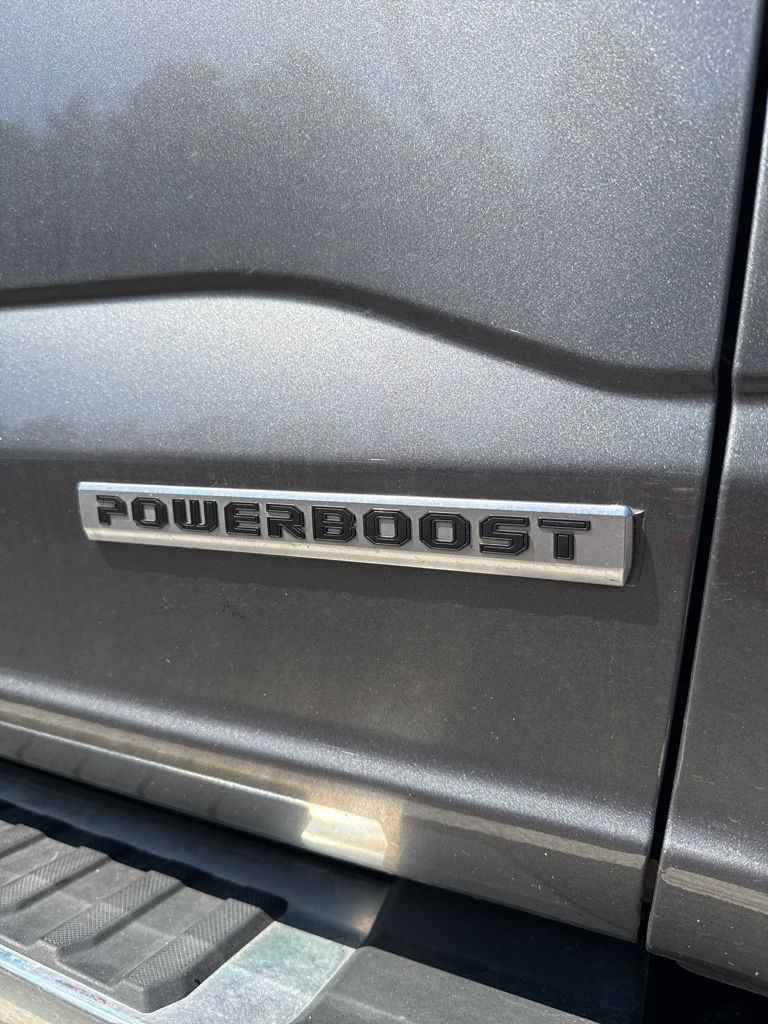 2024 Ford F-150 XLT photo 9