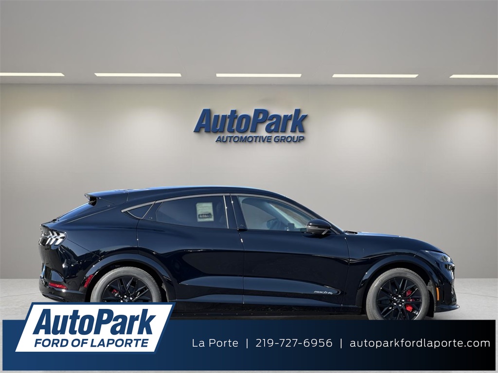 2025 Ford Mustang Mach-E Premium AWD's photo