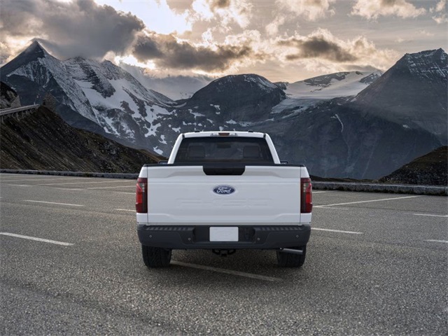 2025 Ford F-150 XL photo 5