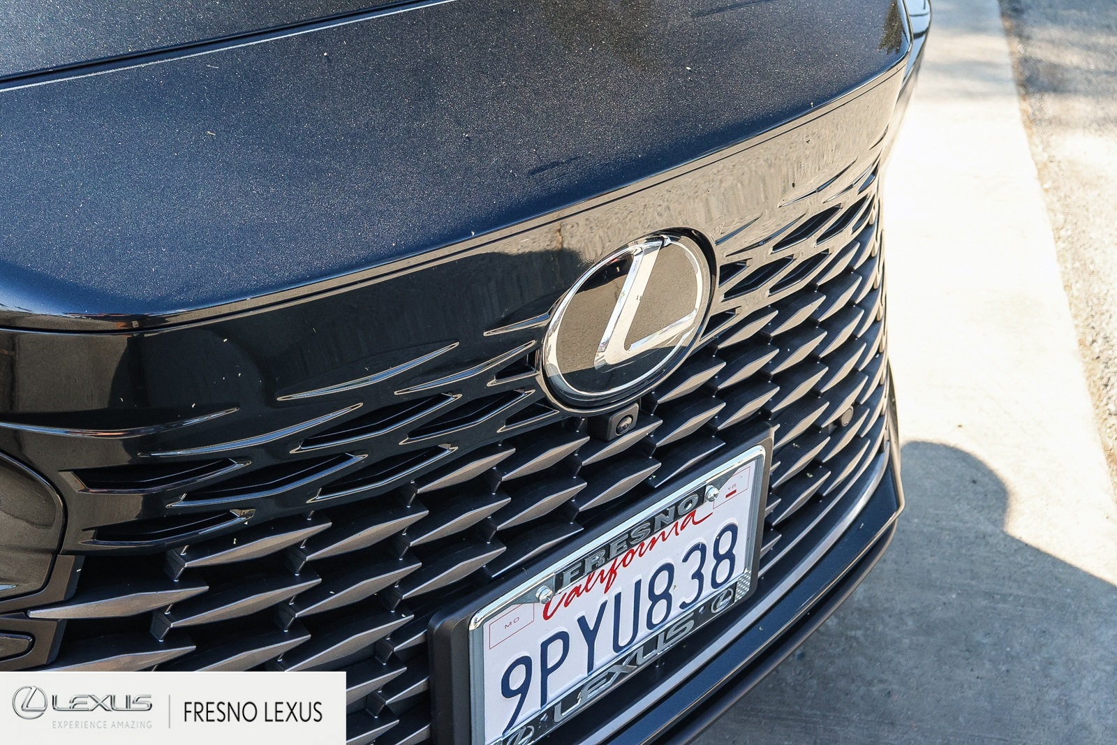 2025 Lexus RX 450h+ Luxury photo 11
