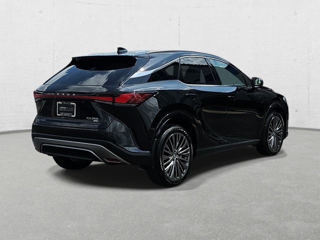 2024 Lexus RX 350 Luxury photo 5