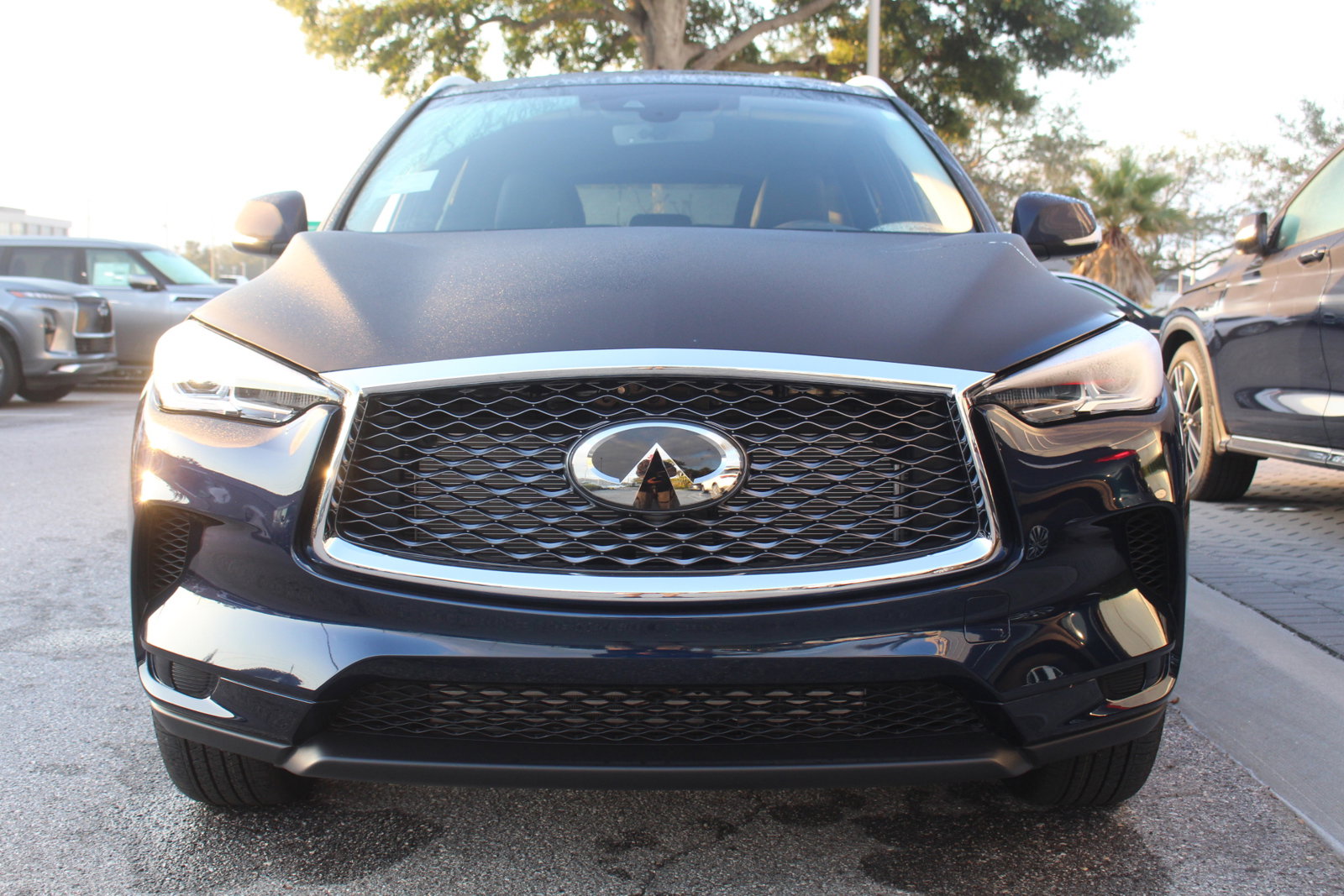 2025 Infiniti QX50 Luxe photo 5