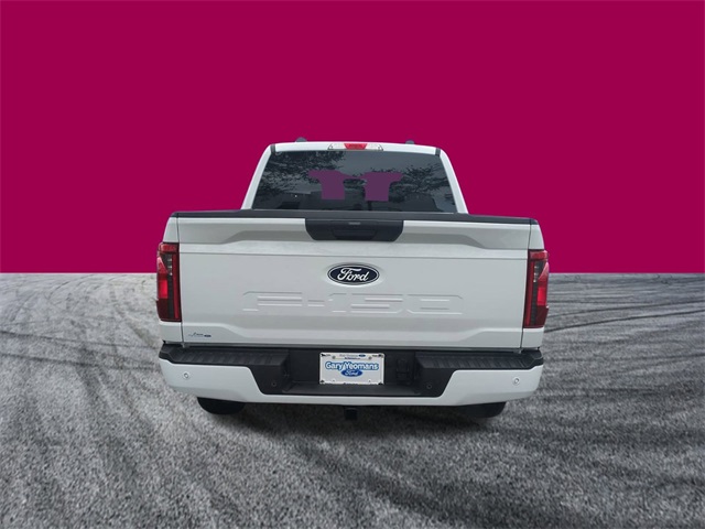 2025 Ford F-150 STX photo 3