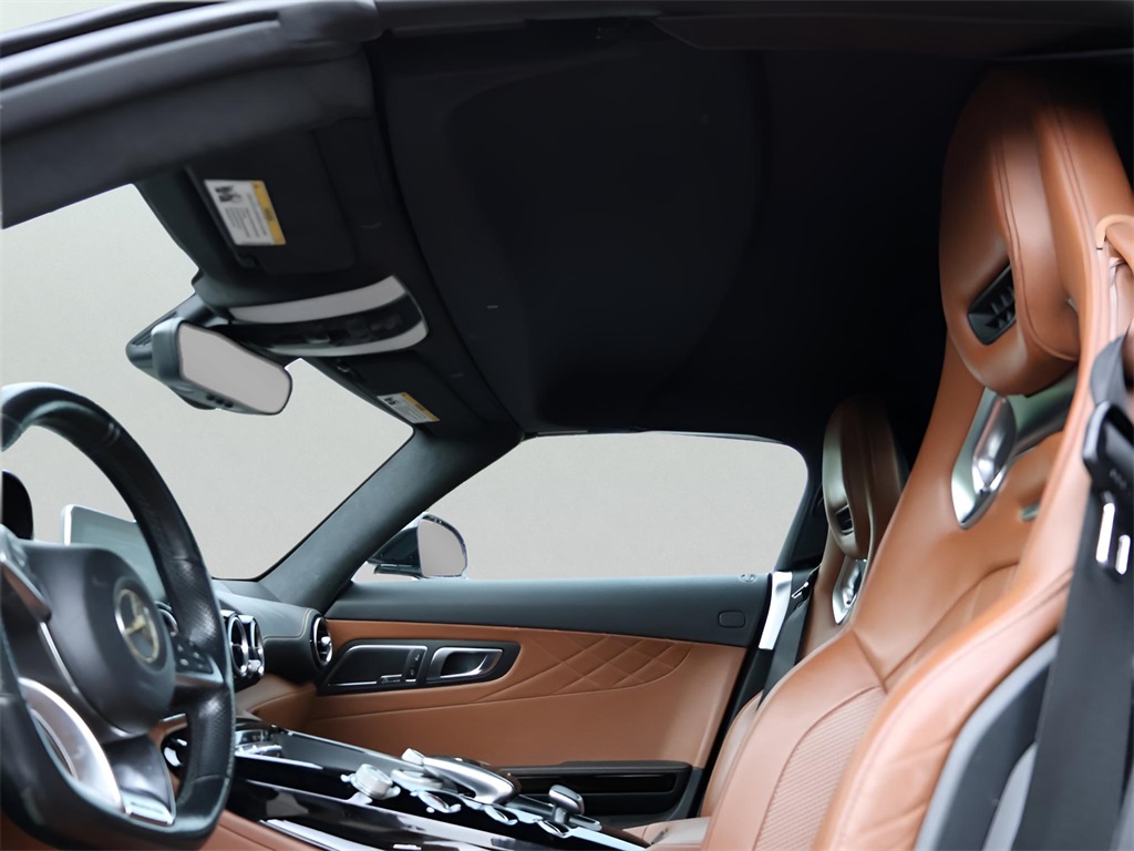 2018 Mercedes Benz AMG GT GT photo 36