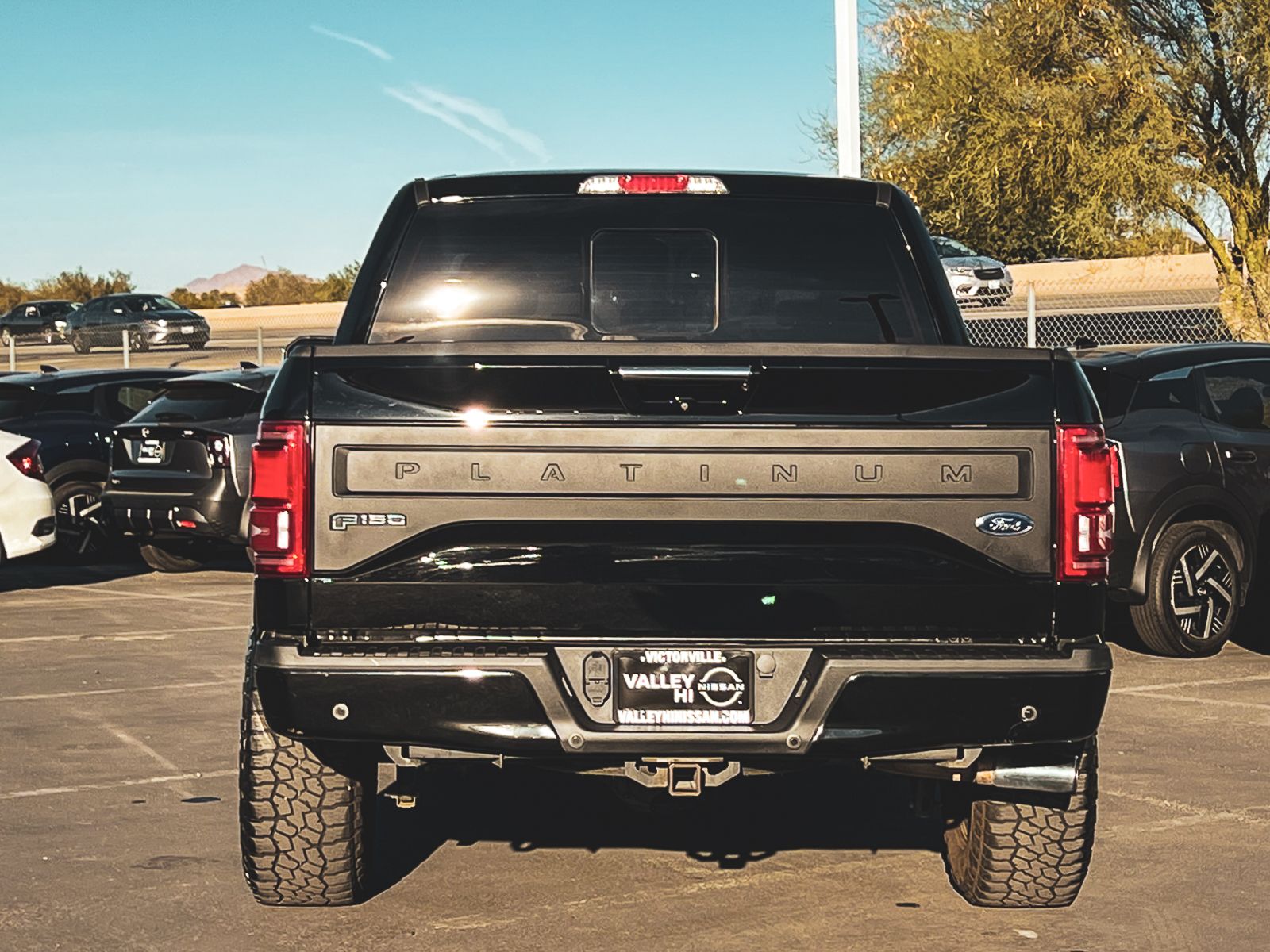 2016 Ford F-150 Platinum photo 4