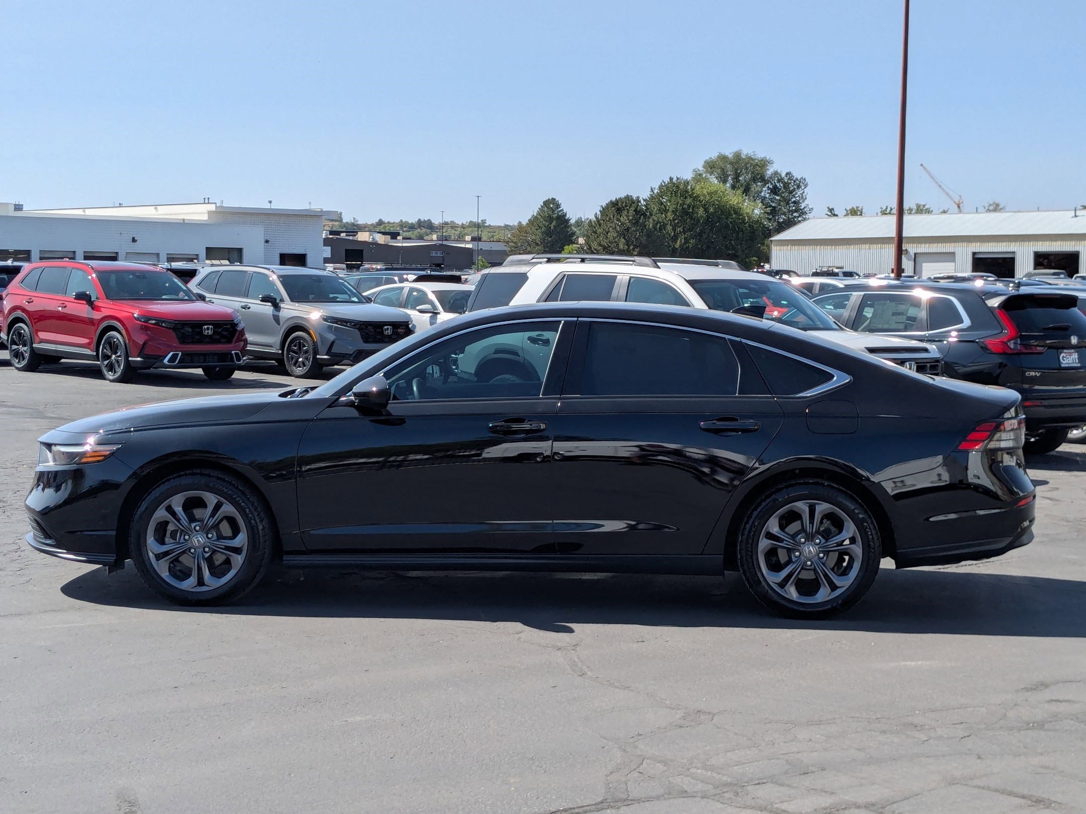 2023 Honda Accord 1.5T EX photo 5