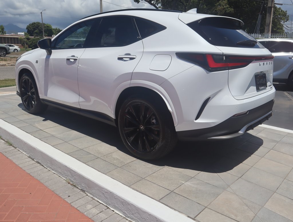 2025 Lexus NX 350 F SPORT Handling AWD photo 6