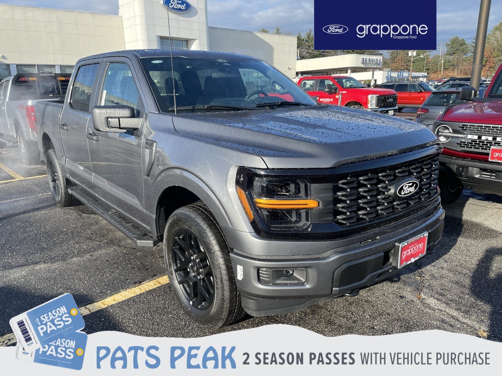 2025 Ford F-150 STX's photo