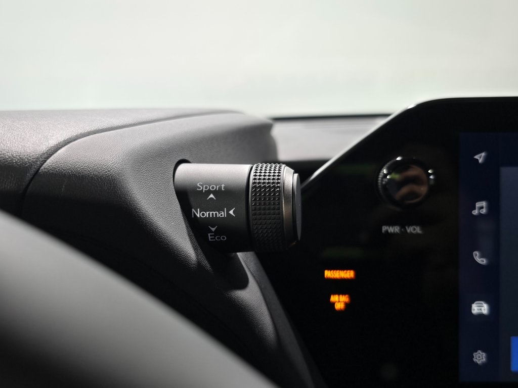 2025 Lexus UX photo 18