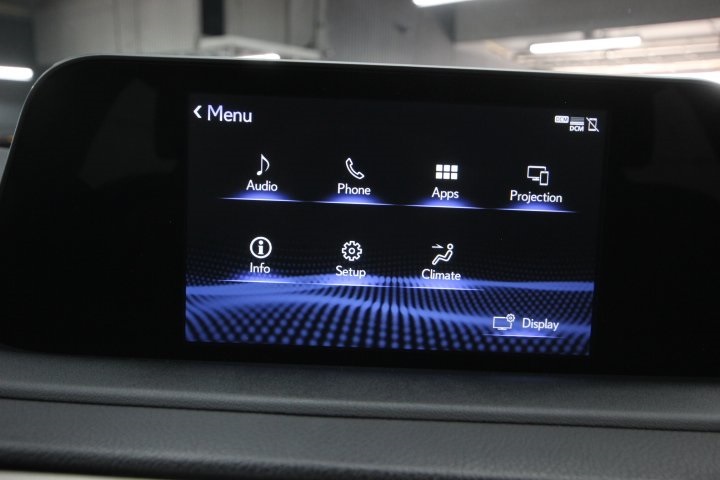 2022 Lexus RX 350 Luxury photo 14