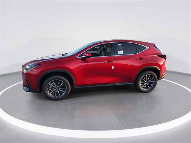 2026 Lexus NX Luxury photo 4