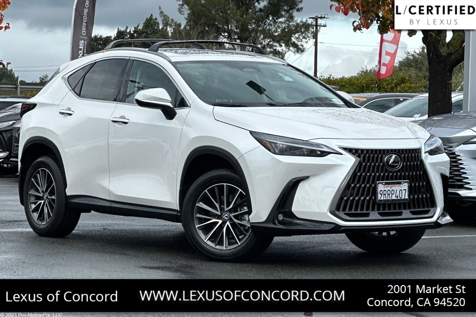 2025 Lexus NX 350's photo