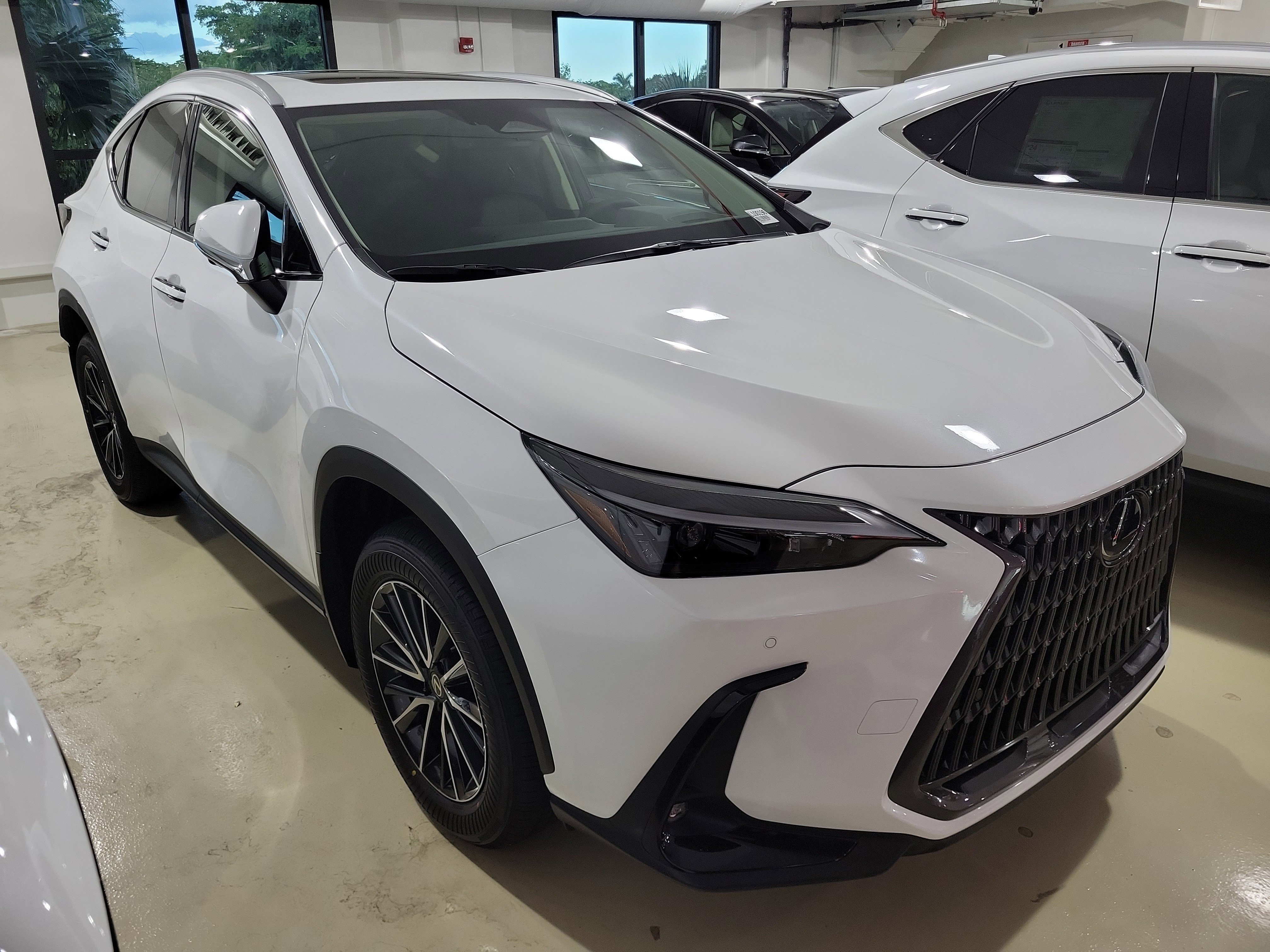 2026 Lexus NX 350's photo