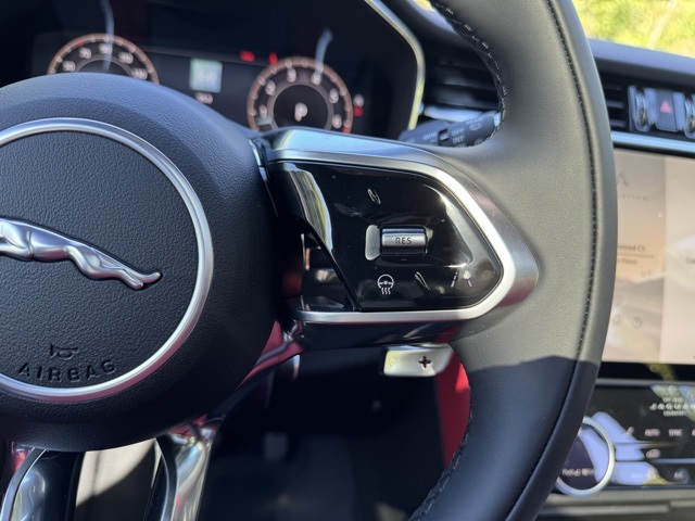 2026 Jaguar F-PACE P250 R-Dynamic S photo 28