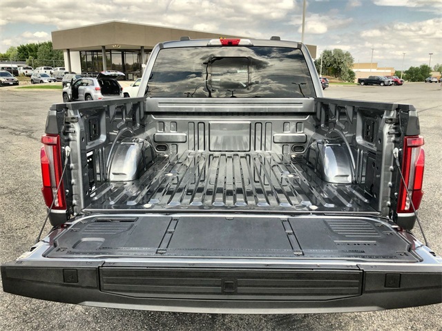 2024 Ford F-150 Platinum photo 15