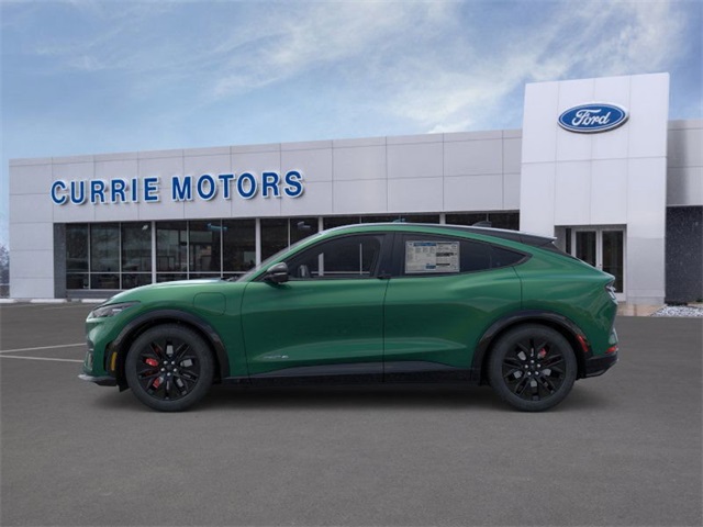 2025 Ford Mustang Mach-E Premium photo 3