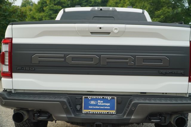 2021 Ford F-150 Raptor photo 39