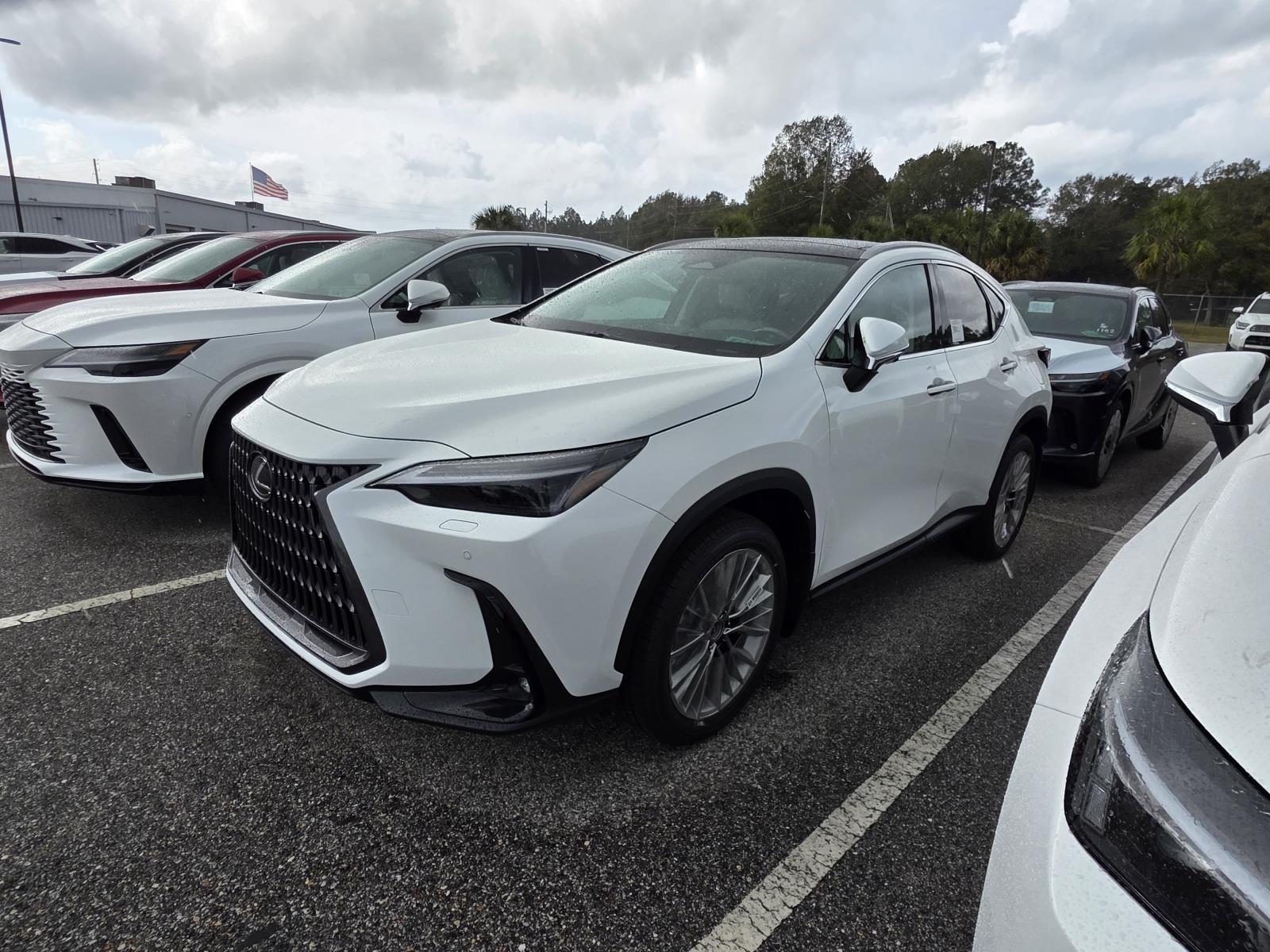 2026 Lexus NX 350's photo