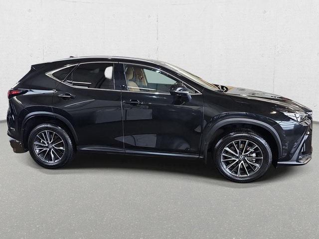 2024 Lexus NX 350 Premium photo 4