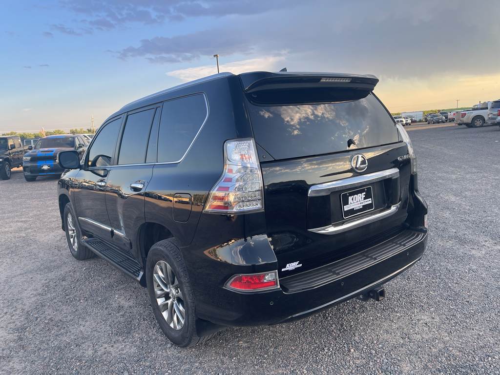 2019 Lexus GX 460 Luxury photo 7