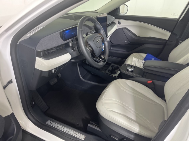 2021 Ford Mustang Mach-E Premium photo 9