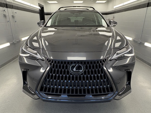 2025 Lexus NX Premium photo 2