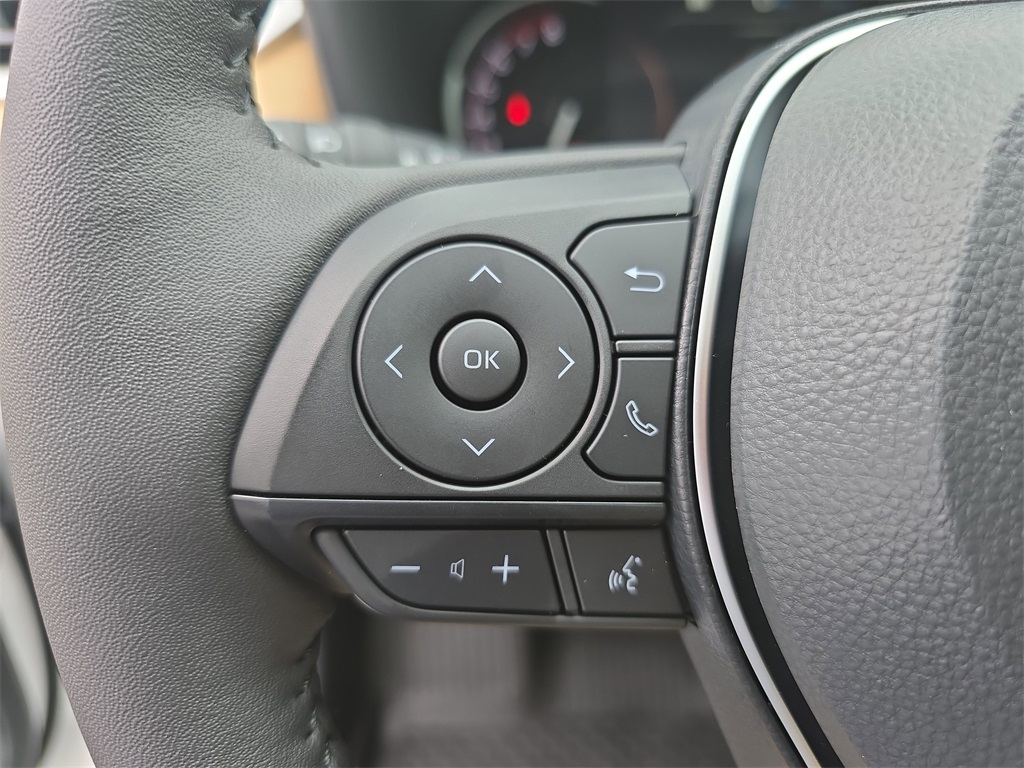 2025 Toyota RAV4 XLE Premium photo 16