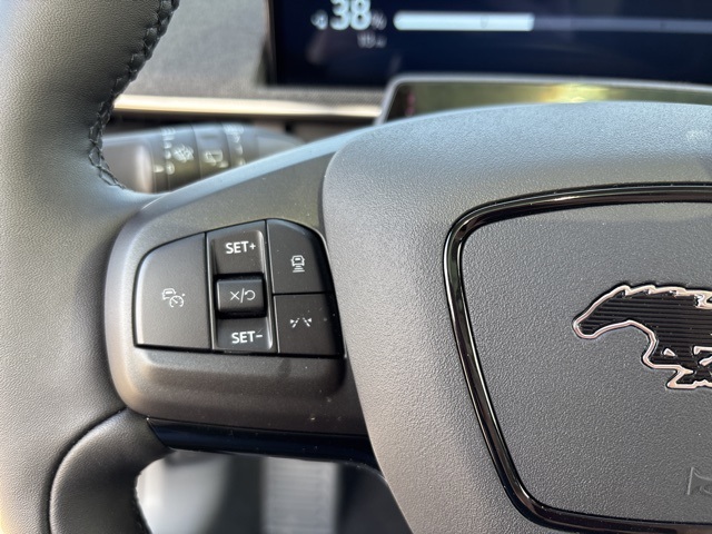 2025 Ford Mustang Mach-E Premium photo 15