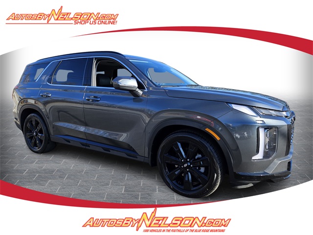 2024 Hyundai Palisade XRT's photo