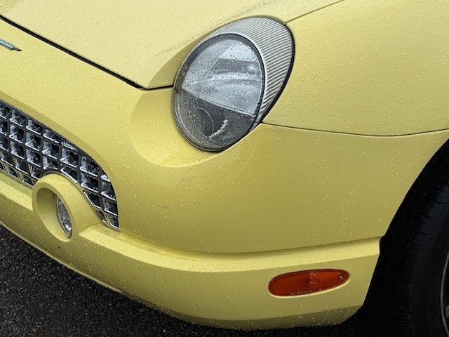 2002 Ford Thunderbird Base photo 10