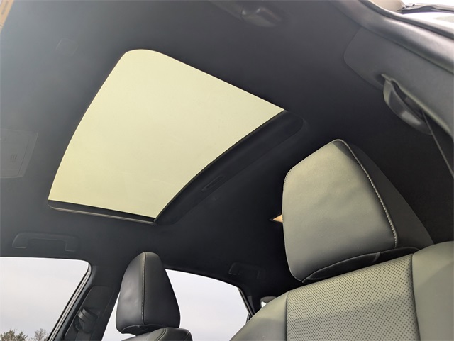 2020 Lexus NX 300 F SPORT photo 12