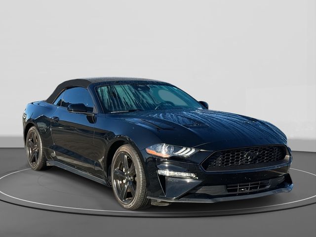 2021 Ford Mustang EcoBoost's photo