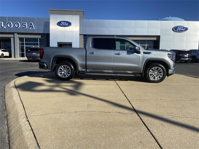 2023 Gmc Sierra 1500 Denali photo 3