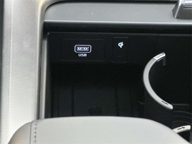 2025 Hyundai Palisade Calligraphy photo 4